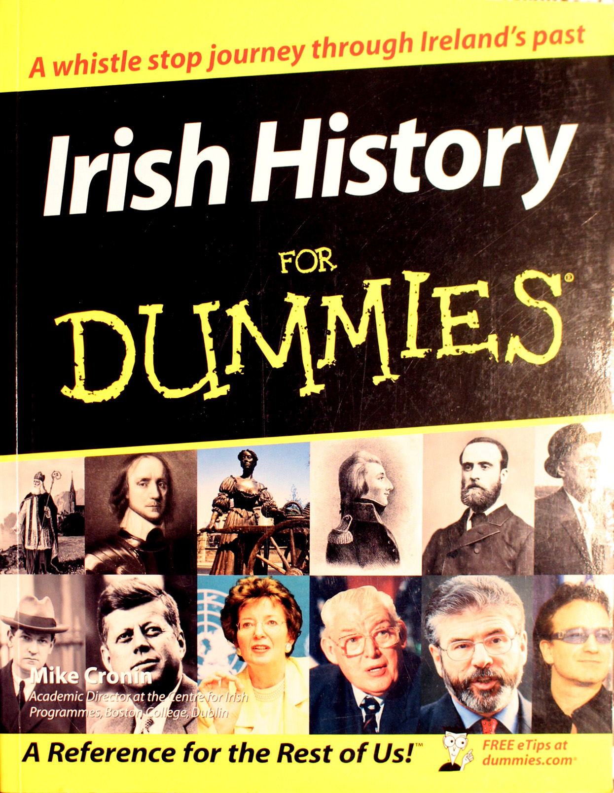 Irish History for Dummies (Dummies) by Mike Cronin – considerthelilies.org