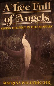 A Tree Full of Angels: Seeing the Holy in the Ordinary Paperback – by Macrina Wiederkehr (Author)