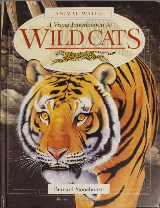 A Visual Introduction To Wild Cats